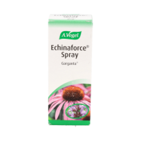 A. Vogel Echinaforce spray...